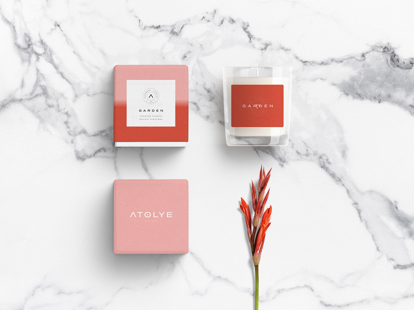 產品包裝設計 產品包裝設計