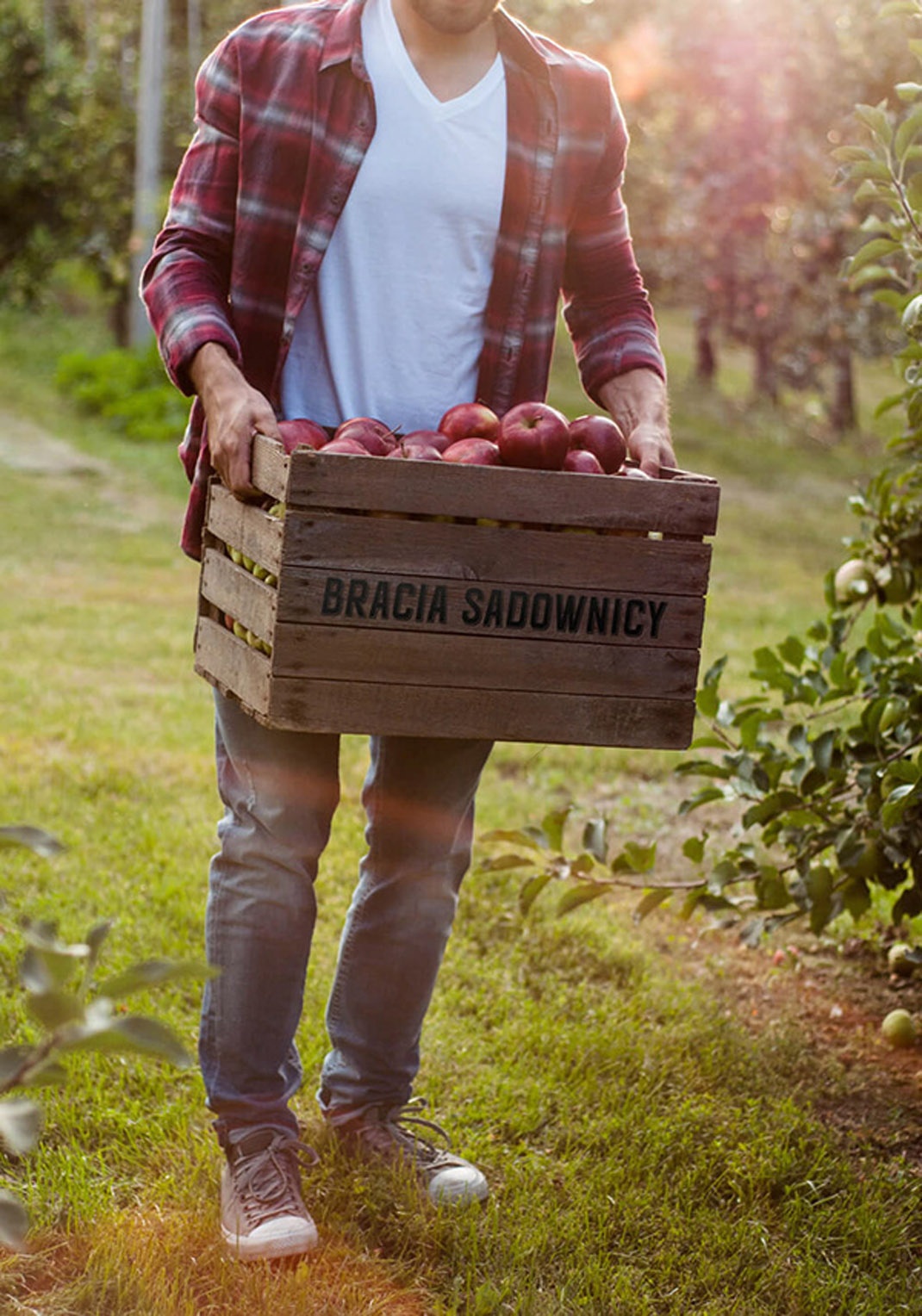 系列包裝設(shè)計(jì) 系列包裝設(shè)計(jì)